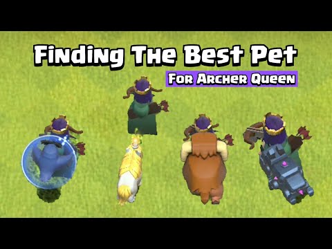 Finding The Best Pet For Archer Queen | Clash of Clans